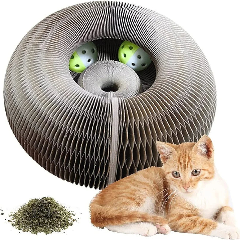 Scar™- MagicPaw Accordion Scratcher