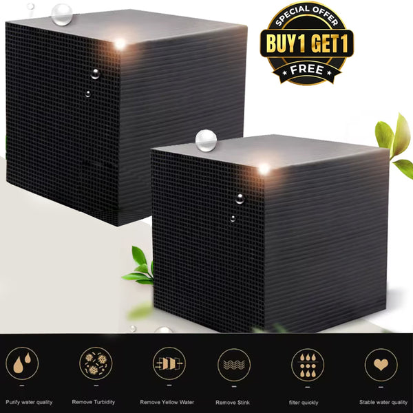 🔥 Limited-time offer: Get 2 Water Purifying Cube for the price of 1