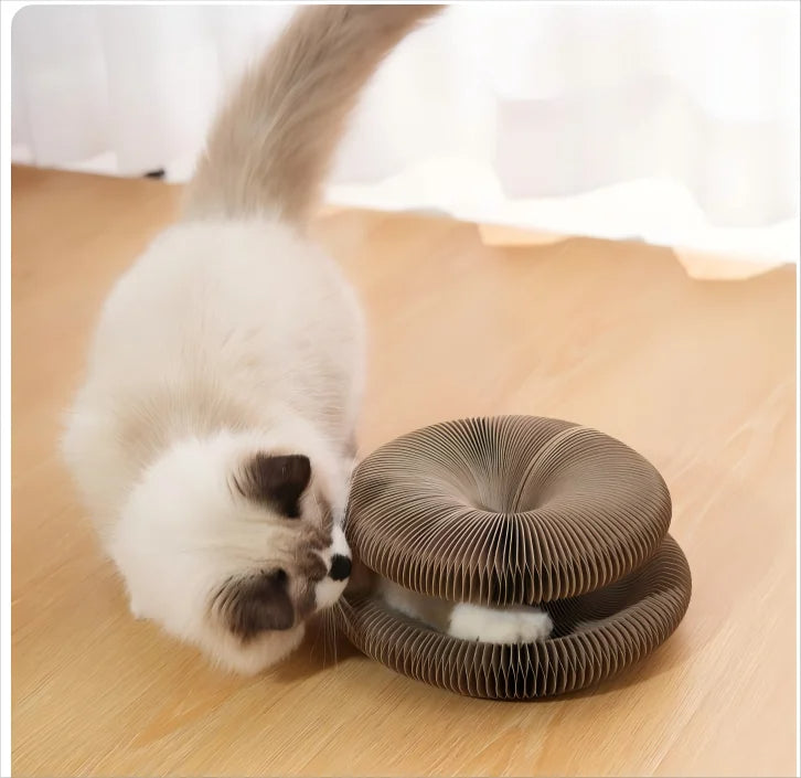 Scar™- MagicPaw Accordion Scratcher