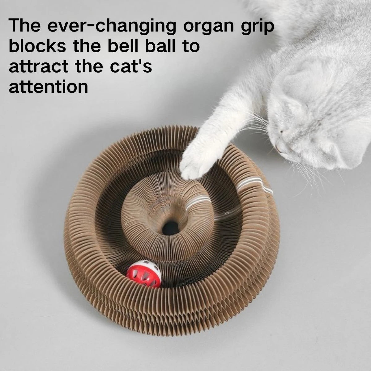 Scar™- MagicPaw Accordion Scratcher