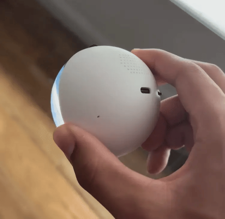 The back of the Orbie memory ornament in the hand