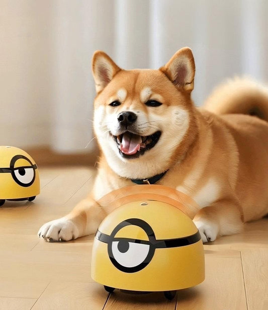 Paws™ - Interactive Toy for Your Pets